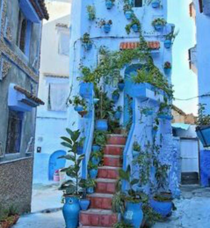 Casa Dreams Chaouen Leilighet Chefchaouen Eksteriør bilde