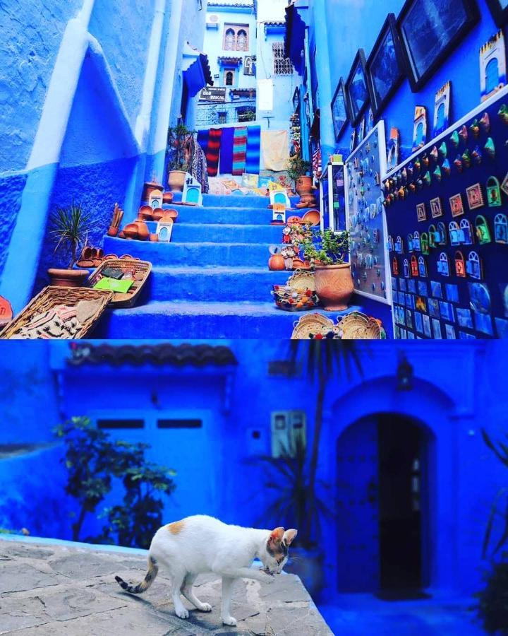 Casa Dreams Chaouen Leilighet Chefchaouen Eksteriør bilde